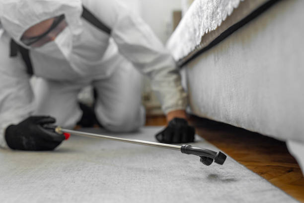 Professional Termite Control technician working in Coachella, CA