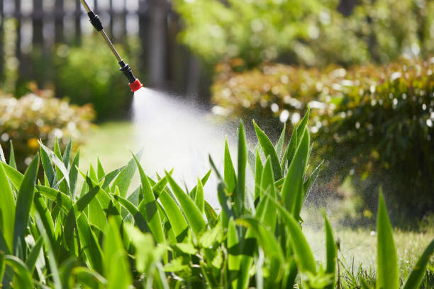 24/7 Emergency Termite Control experts in Coachella, CA
